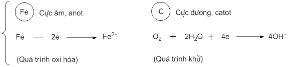 596484[LG].png
